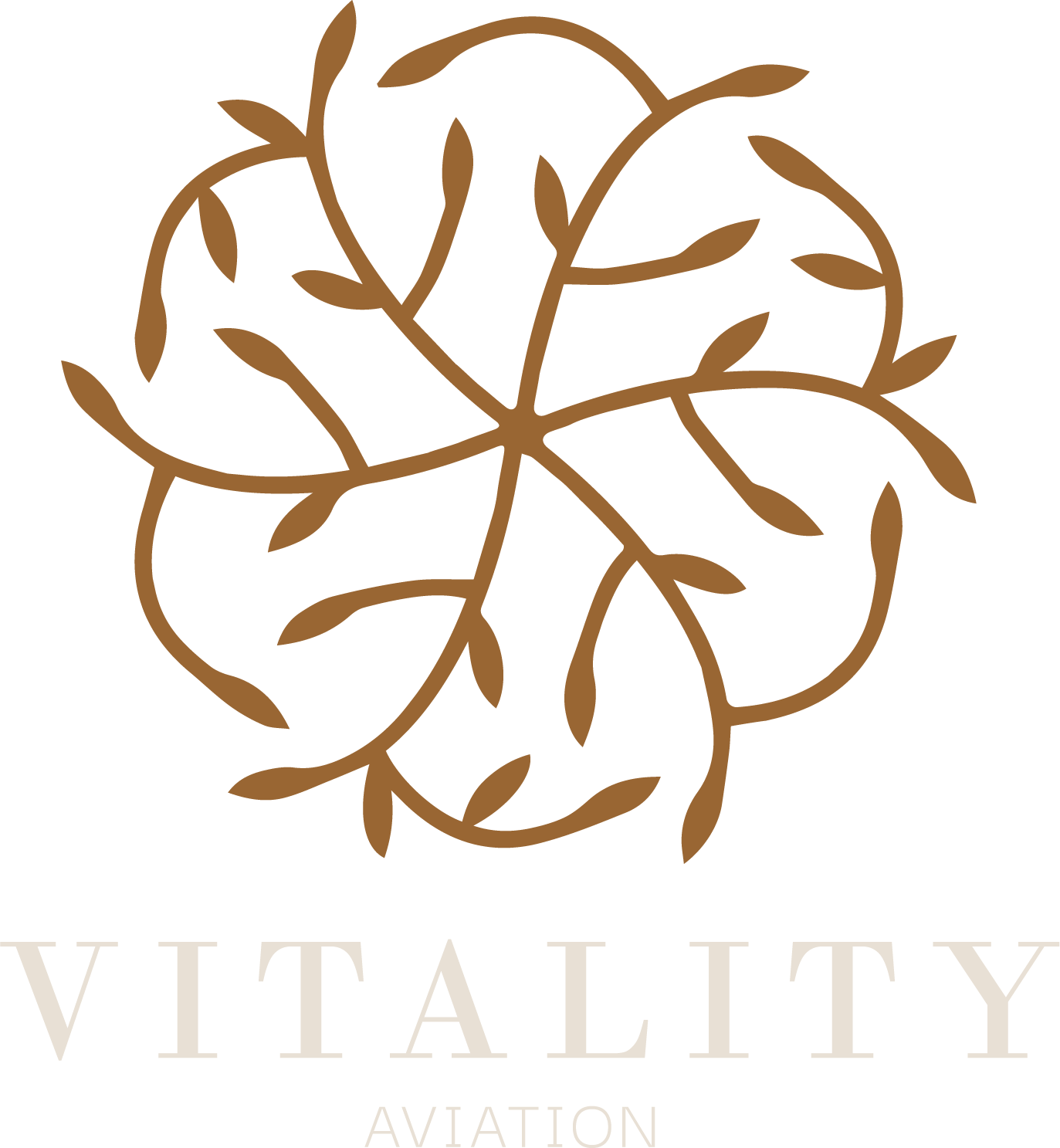 Vitality Aviation